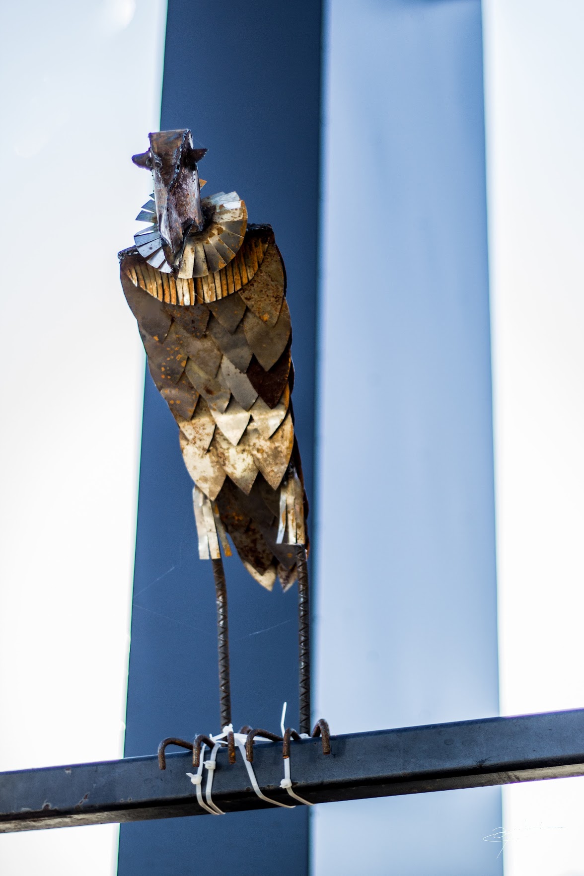 beautiful metal bird perched in the air at botanicals st george