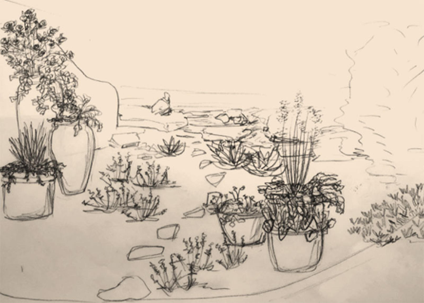 Plantscape design sketch of a backyard with a path and pottery