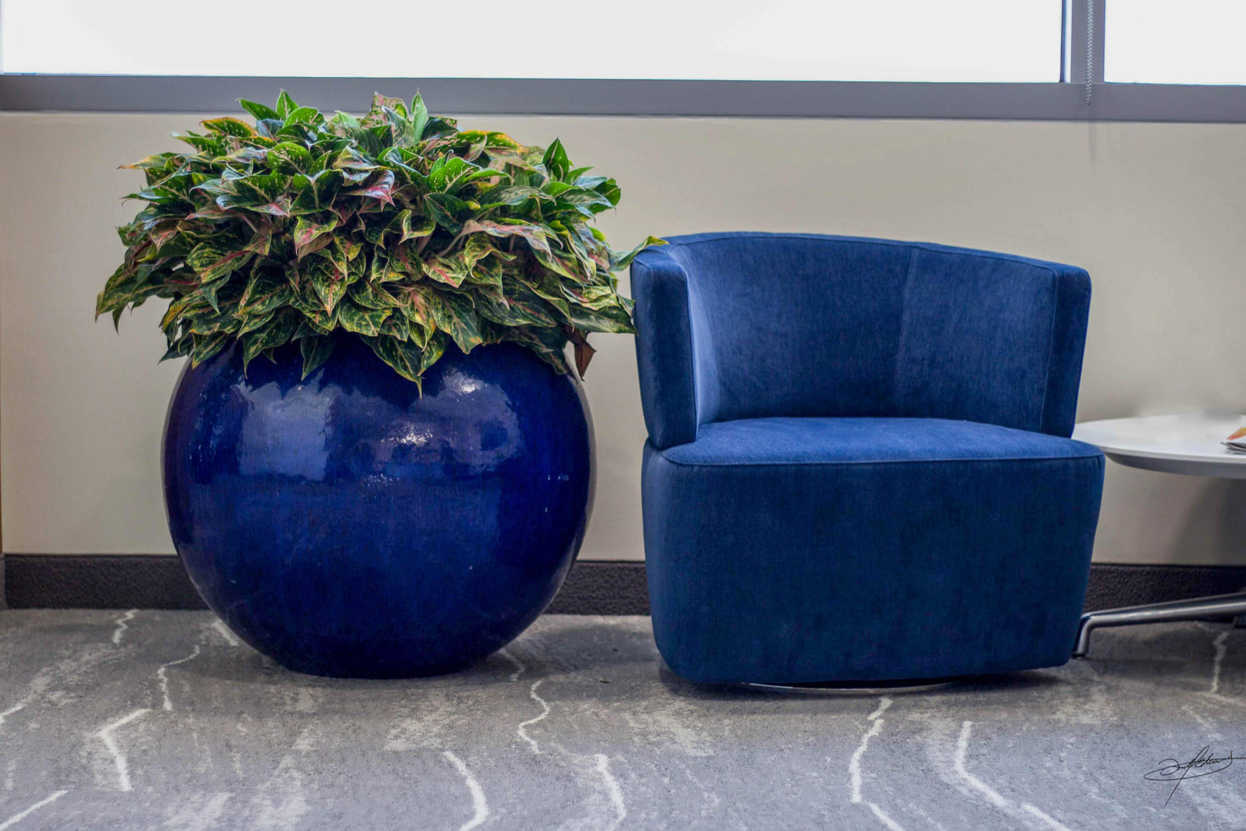 blue glazed ceramic planted pot next to matching blue chair