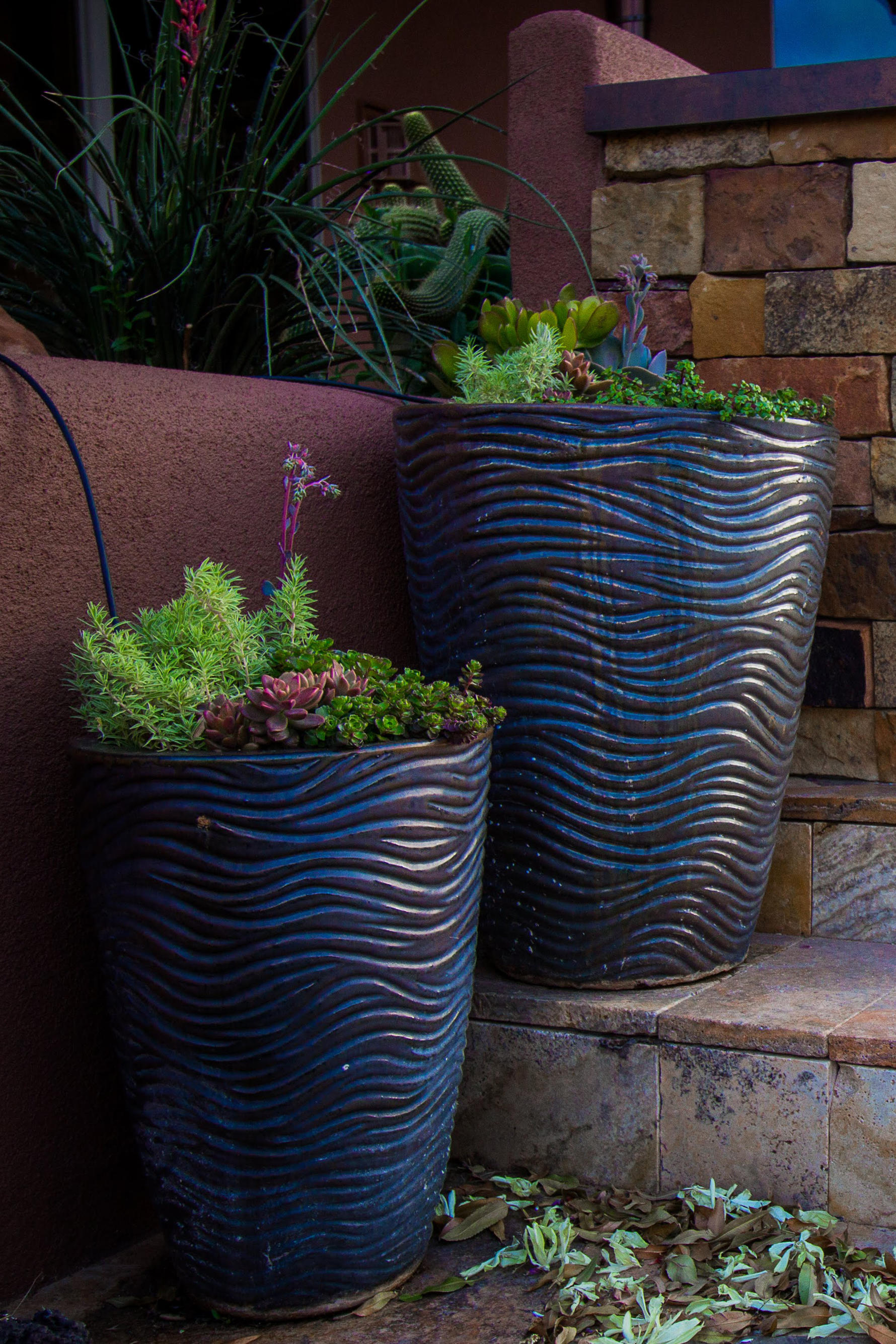 two rippled glazed ceramic pots planted with succulents oudoors