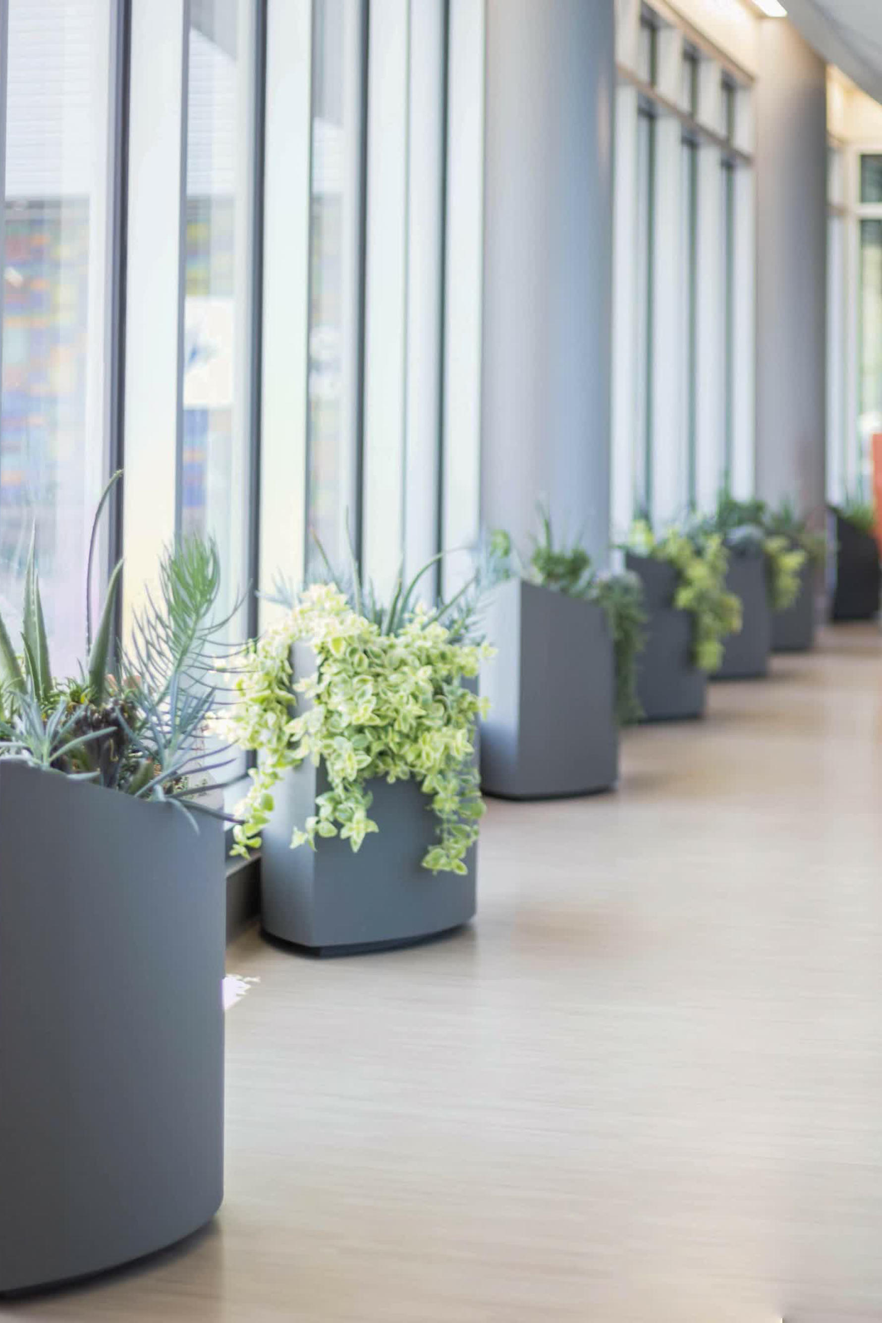 botanicals containers planted with plants lining a skywalk