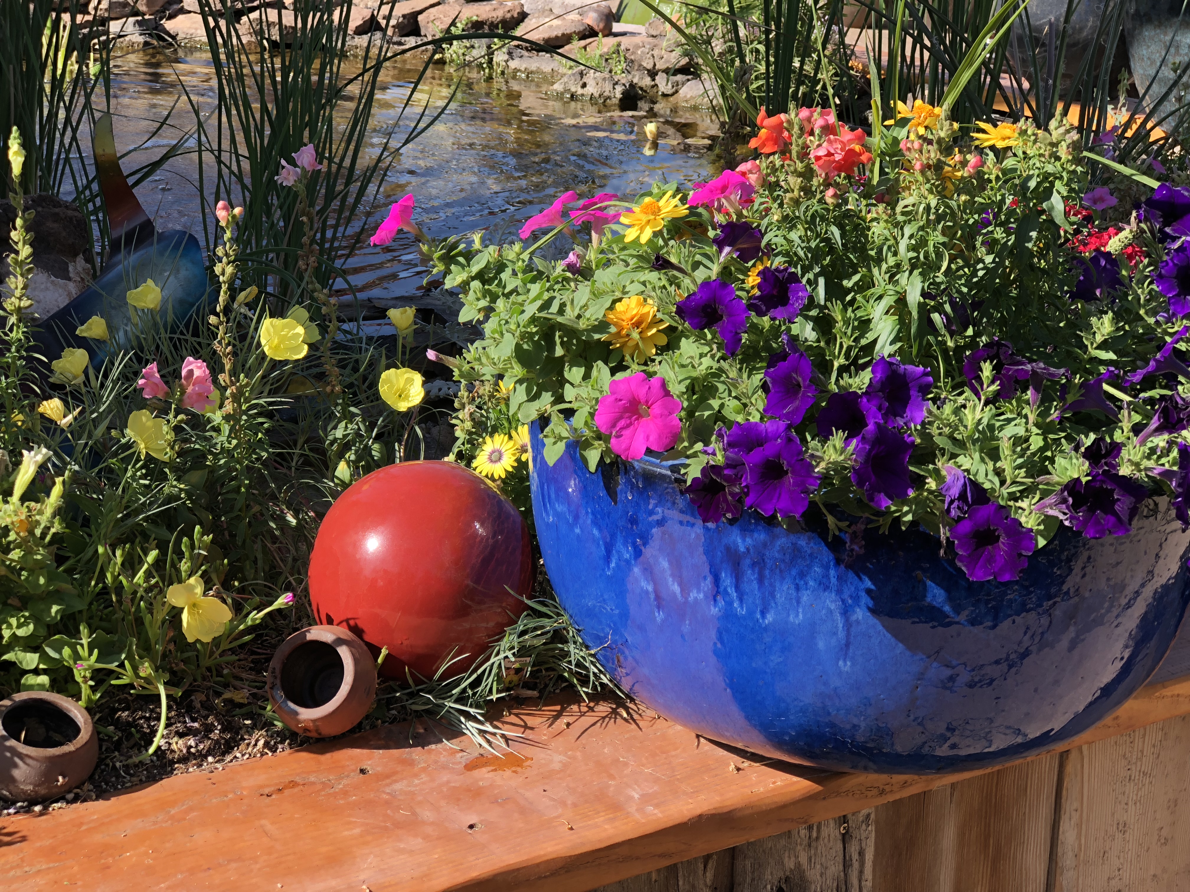 beautiful flowers in a blue glazed ceramic pot at botanicals st george