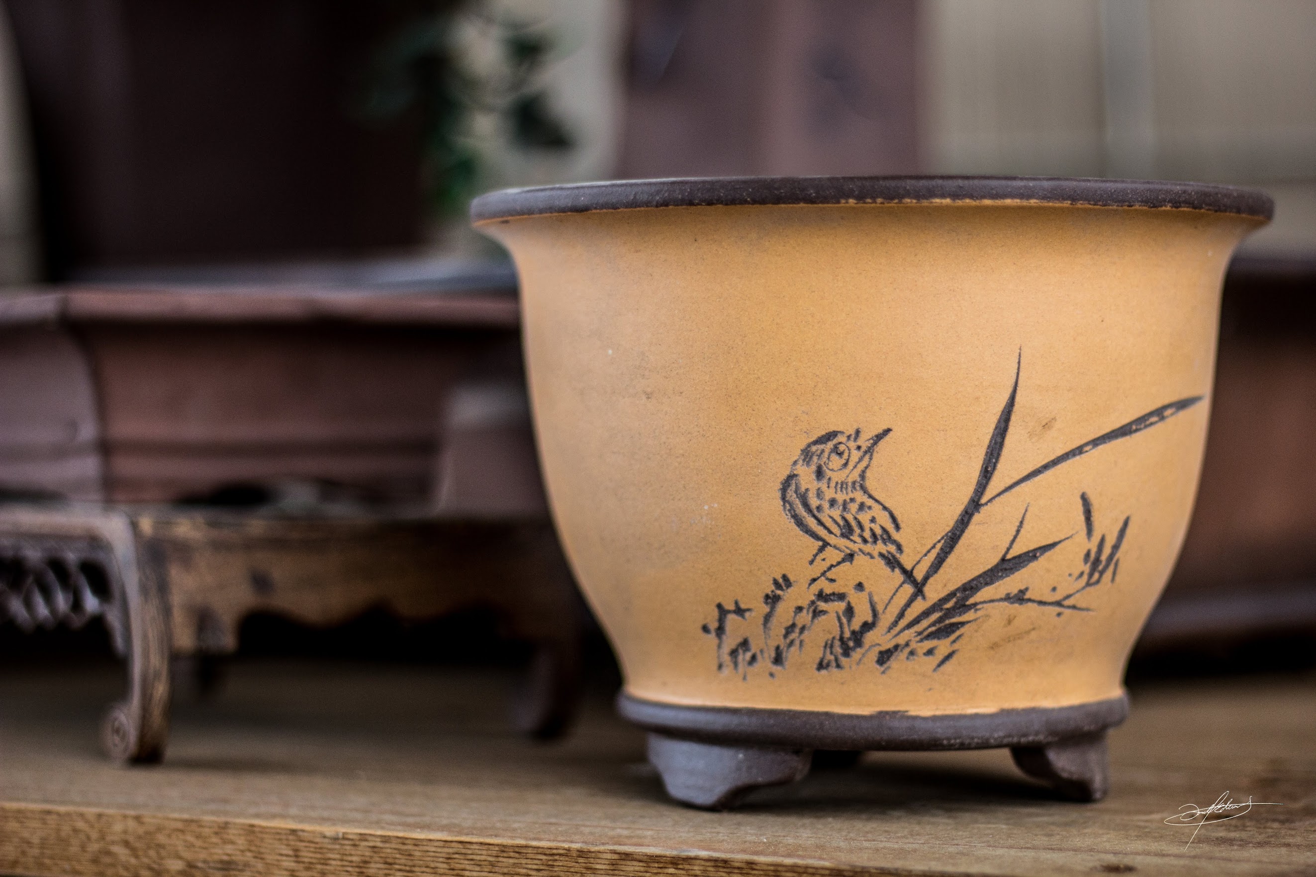 bonsai pottery for sale at botanicals sandy
