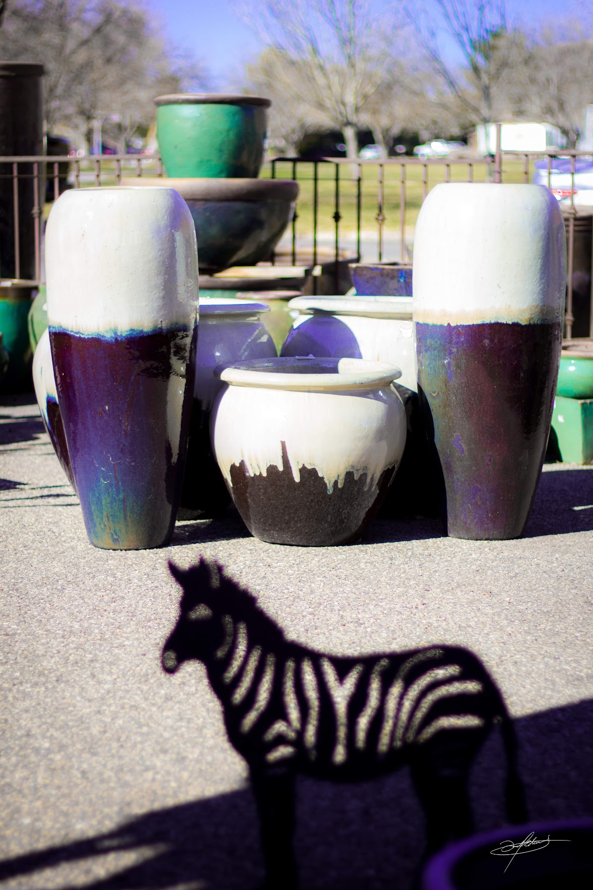 zebra metal art in front of ceramic pottery at botanicals saint george