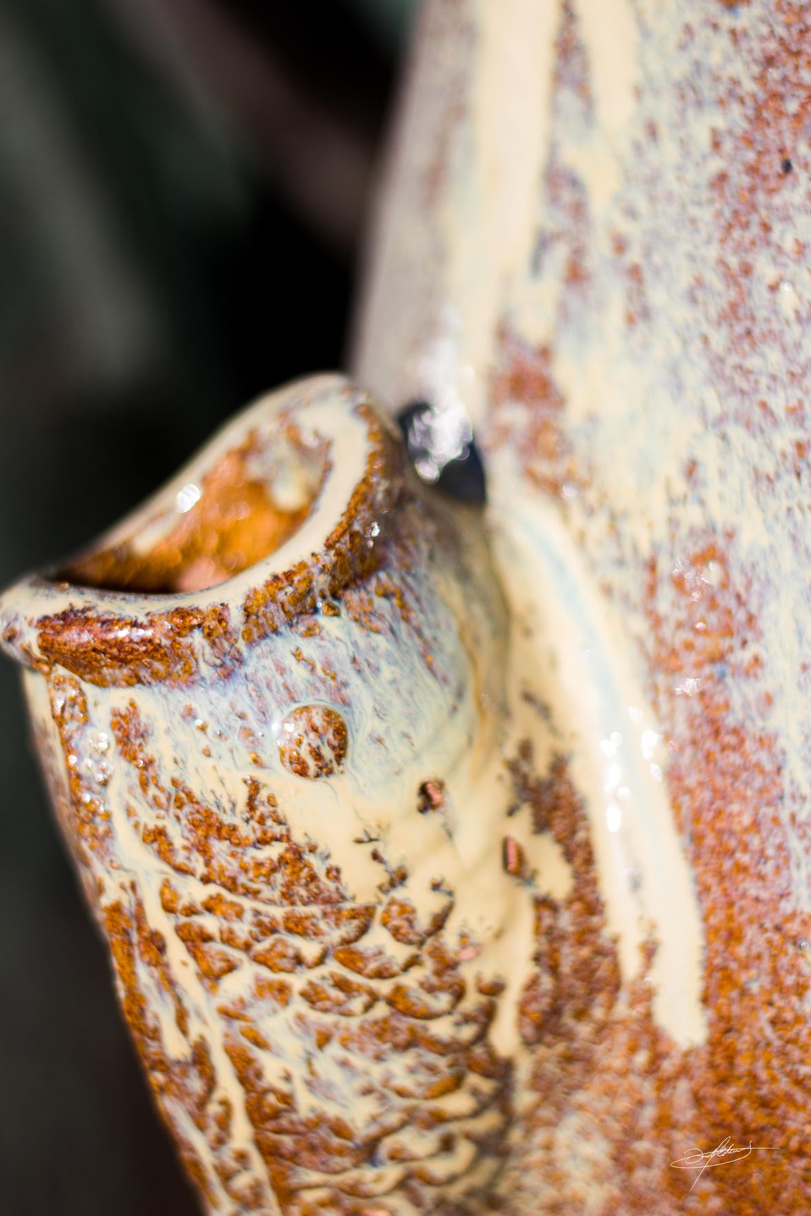 close up of ceramic fountain fish head spout at botanicals saint george